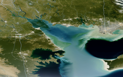 Google Maps Clears Up Gulf of Mexico Confusion