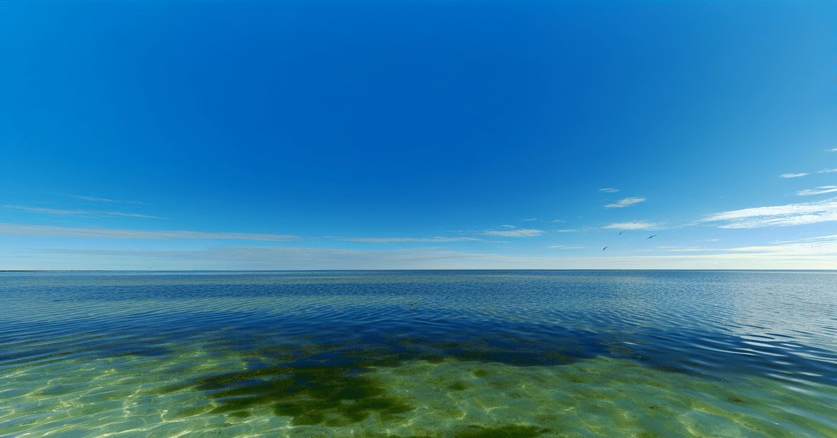 google-maps-dispels-gulf-of-america-myth-upholds-accuracyresized106-1738584224-png