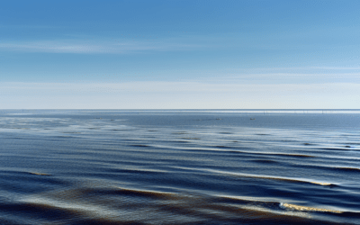 Tech Gaffe: Gulf of Mexico Briefly Becomes ‘Gulf of America’