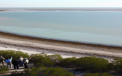 Gulf Naming Dispute: Mexico Takes On Google in Geopolitical Showdown