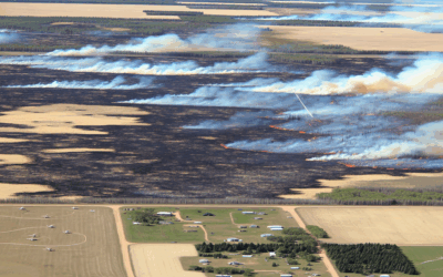 Minnesota Ablaze: Wildfires Spread in Tinder-Dry Conditions