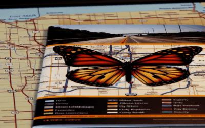 Monarch Butterflies Navigate Iowa’s Timeless Winged Roads